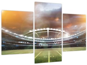 Tablou - Stadion (90x60 cm)