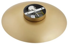 Argon 8865 - Aplica LED de perete BOLTON, 12,5W, 230V, 3000K, auriu