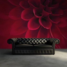 Fototapet, Dahlia, Rebel Walls