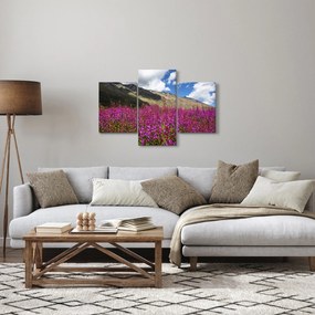 Tablou sceneriei cu lunca montană (90x60 cm)