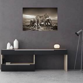 Tablou cu leii alb negri (90x60 cm)