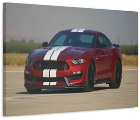 Tablou Canvas Ford Mustang 120x80 cm