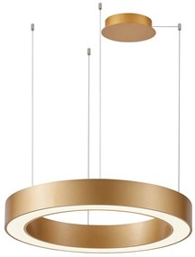 Azzardo AZ5051 - Lustră LED dimabilă pe cablu MARCO LED/80W/230V auriu + + telecomandă