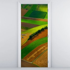 Fototapet pentru ușă - Câmp (95x205cm)