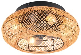 Plafonieră maro cu control prin telecomandă, cu ventilator Lillesand – Trio