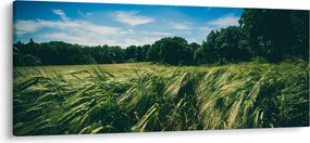 Tablou cu linca și pădure (120x50 cm)