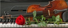 Tablou- Amintire de muzicean (120x50 cm)