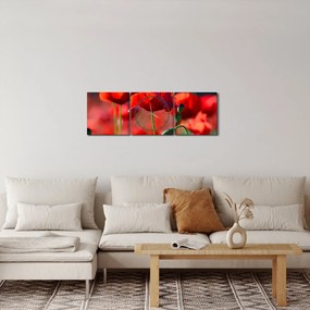 Tablou - flori de maci (cu ceas) (90x30 cm)
