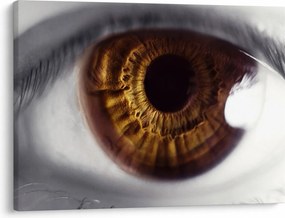 Tablou - Ochi (70x50 cm)