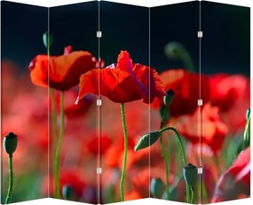 Paravan - Flori de maci (210x170 cm)