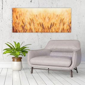 Tablou - câmp cu grâne (120x50 cm)
