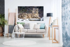 Tablou canvas ghepard - 40x30 cm
