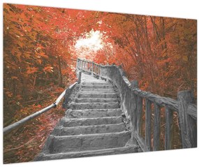 Tablou - Scări în natură, portocaliu (90x60 cm)
