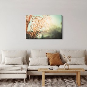 Tablou - Plante de luncă (90x60 cm)