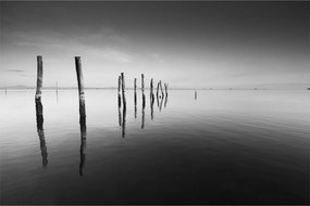 Tablou cu nivelul de lac alb negru (90x60 cm)