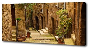 Pictură pe pânză Străzile italiene