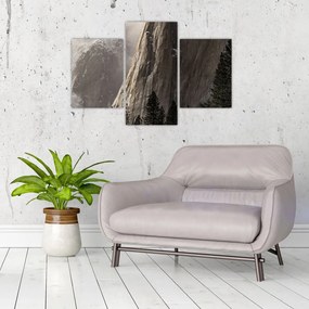 Tablou din valea Yosemite parcul național, SUA (90x60 cm)