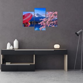 Tablou - cu privire la munte - Japonia (90x60 cm)