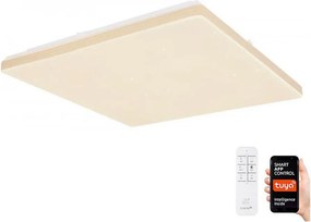Globo 48025WSH - Plafonieră LED reglabilă LED/24W/230V Wi-Fi Tuya + telecomandă