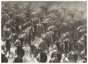 Tablou pe sticlă - Turmă de antilope sălbatice (70x50 cm)