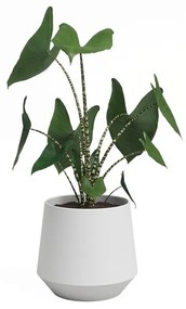 Ghiveci din ceramică ø 20 cm Aurora – Artevasi