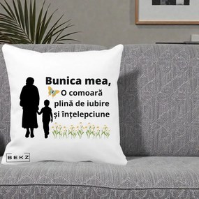 Cadou pentru Bunica - Perna Personalizata Bunica Mea Comoara cu Fluture si Baietel, 40x40 cm, Alba Mata, Husa Detasabila, Perna Inclusa, BEKZ®