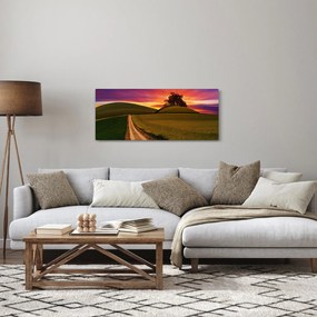 Tablou câmpului cu apus de soare (120x50 cm)