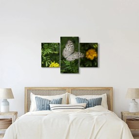 Tablou - fluture alb (90x60 cm)