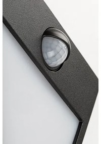 Rabalux 7478-LED Aplica exterior BALIMO LED 12W 230V IP44 cu senzor