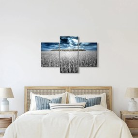 Tablou cu câmp (90x60 cm)
