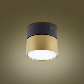 Spot SPACE GOLD 1xGX53/15W/230V