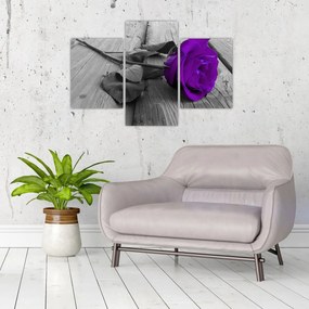 Tablou - Trandafir violet cu tulpina verde (90x60 cm)