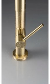 Baterie de chiuvetă cu cap de duș detașabil Deante BQO_R72M OLFATO auriu periat