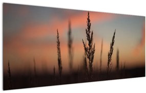 Tablou - Silueta plantei (120x50 cm)
