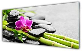 Tablou pe sticla Bamboo Tube flori Stones Arta Verde Rosu Negru