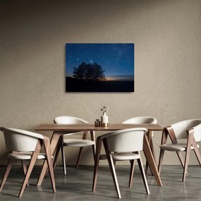 Tablou pe sticlă cu copaci noapte (70x50 cm)