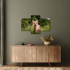 Tablou cu vulpe (90x60 cm)