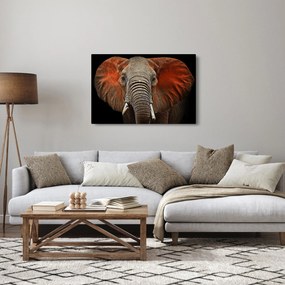 Tablou - Elefanți cu Tsavo (90x60 cm)