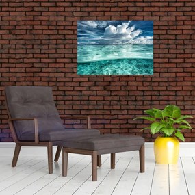 Tablou - privire sub nivelul mării (70x50 cm)