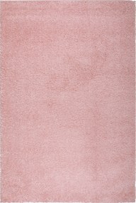 Covor Shaggy 30 roz 160/230 cm