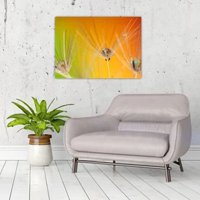 Tablou cu picături pe plantă (70x50 cm), în 40 de alte dimensiuni noi