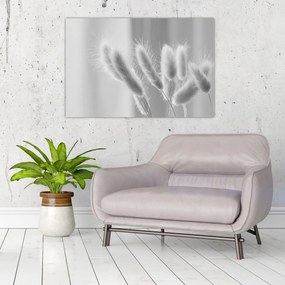 Tablou - Iarbă de coadă de iepure (90x60 cm)