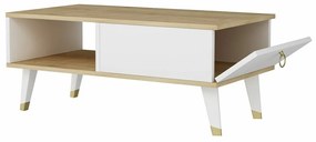 Măsuță de cafea Delux Sapphire Oak and White