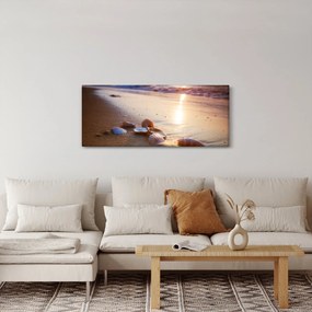 Tablou - Scoici (120x50 cm)