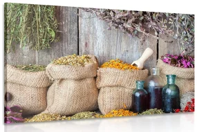 Tablou plante medicinale