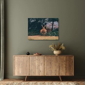 Tablou pe sticlă cu două girafe (70x50 cm)