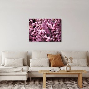 Tablou pe sticlă - Sakura roz (70x50 cm)