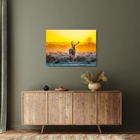 Tablou pe sticlă - Cerb la răsăritul soarelui (70x50 cm)