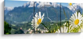 Tablou - Primăvara în Alpi (cu ceas) (90x30 cm)