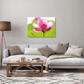 Tablou pe sticlă cu flori de lotus (70x50 cm)
